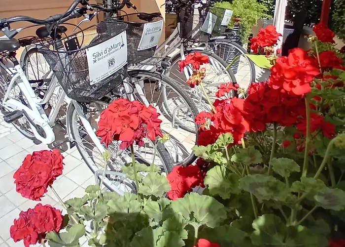 Bed and Breakfast Silvi D'Amare Silvi Marina